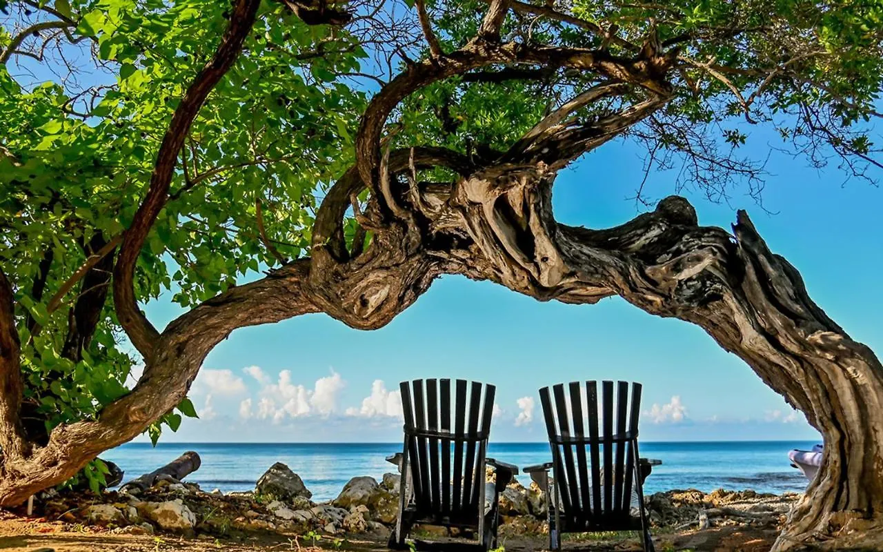 Jakes Hotel Treasure Beach 3*,